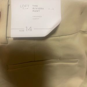 Loft Curvy Rivera Crop